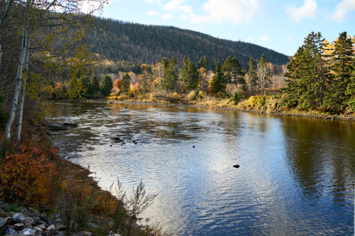 Saison,Automne,MRC Côte-de-Gaspé,Région,Grande-Vallée,Eau,Rivière,Jour,Temps
